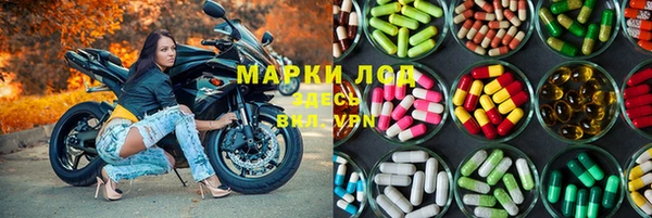 ПСИЛОЦИБИНОВЫЕ ГРИБЫ Балахна
