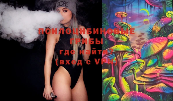 ПСИЛОЦИБИНОВЫЕ ГРИБЫ Балахна