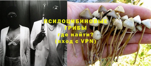 ПСИЛОЦИБИНОВЫЕ ГРИБЫ Балахна