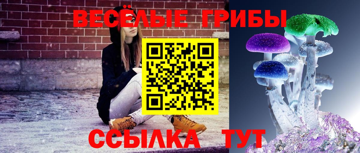 Галлюциногенные грибы Cubensis  цена   Галлюциногенные грибы Psilocybine cubensis  Корсаков  Вход с VPN 