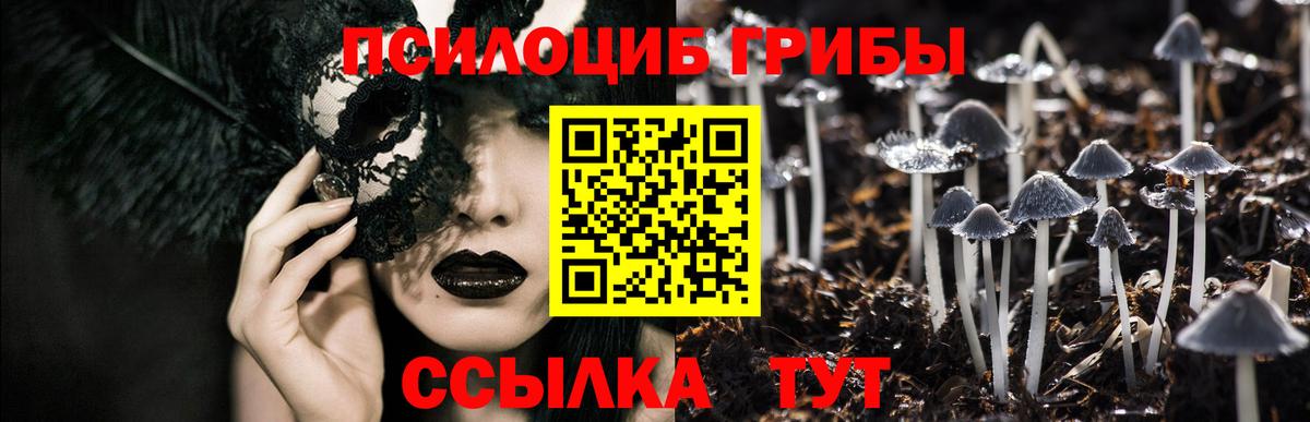 Псилоцибиновые грибы ЛСД Корсаков